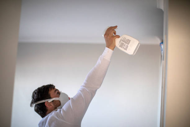 Best Attic Mold Remediation in North Windham, ME
